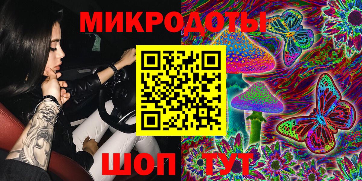 Псилоцибиновые грибы Psilocybe Кохма